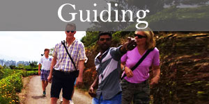 Sri Lanka Guiding